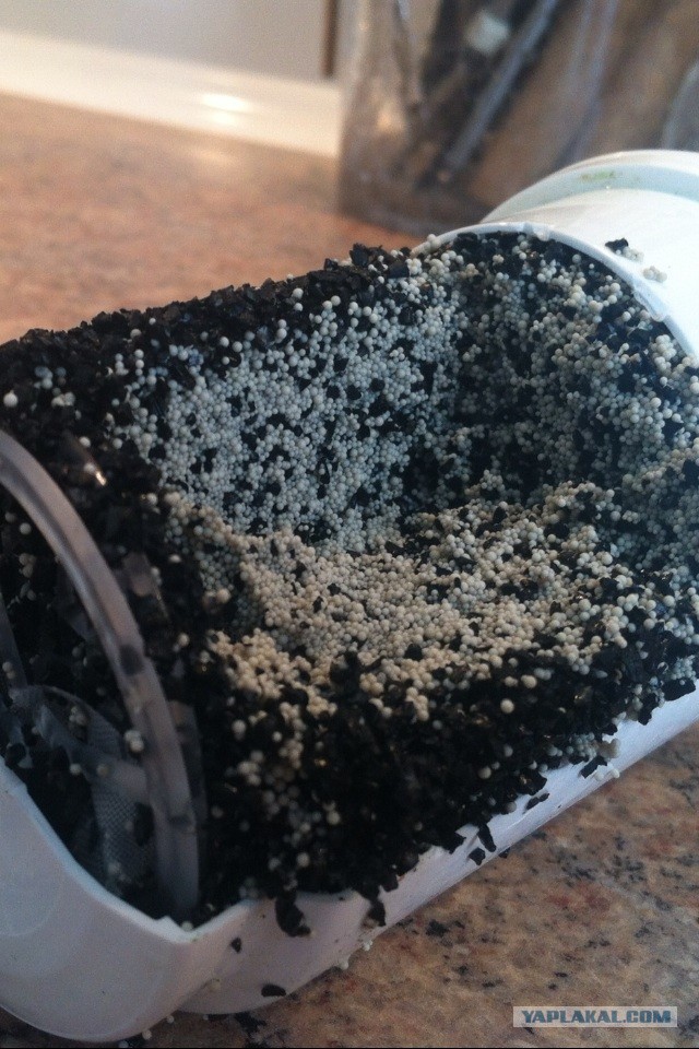 Пырнул ножом,чтобы посмотреть,что внутри.