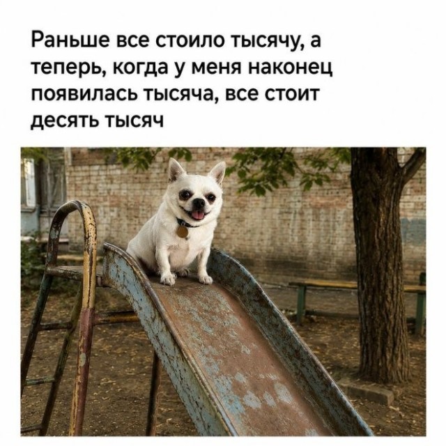 Веселые картинки в понедельник (24.08)