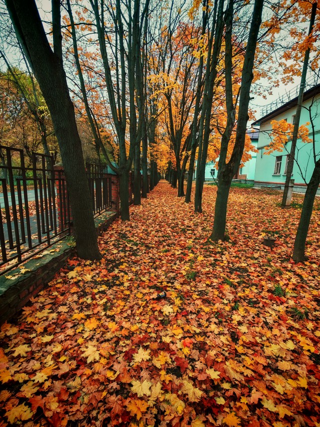October