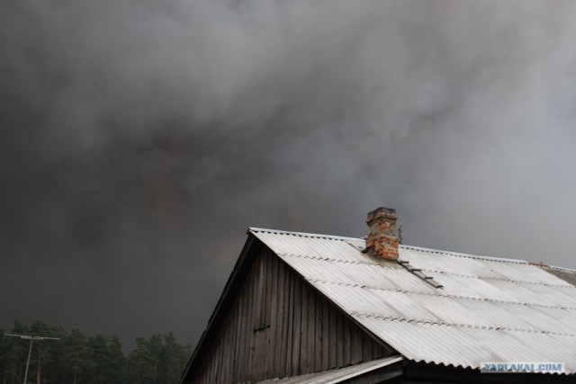Пожары в рязанской области