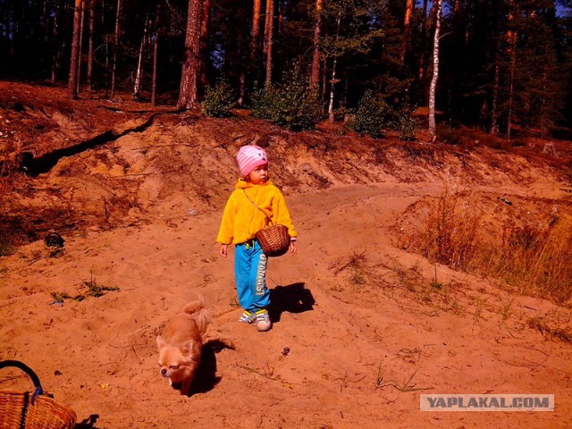 Последнее фото с Вашего телефона.
