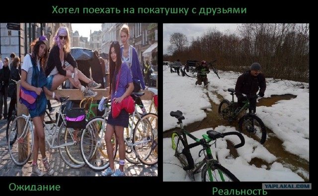 Утренняя пробежка