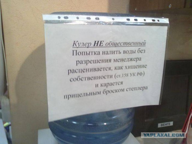 41 веселая картинка