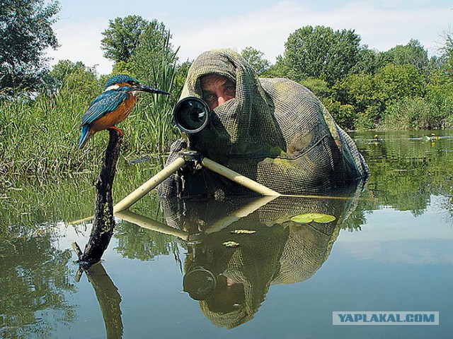 На что идут фотографы в погоне за снимком