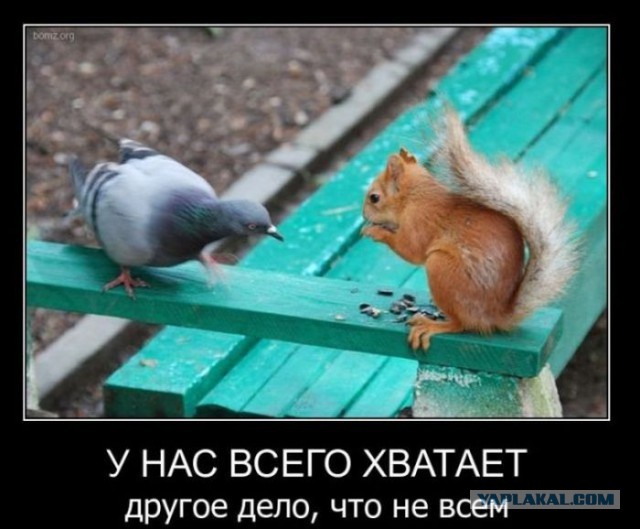 Картинки с просторов на четверг