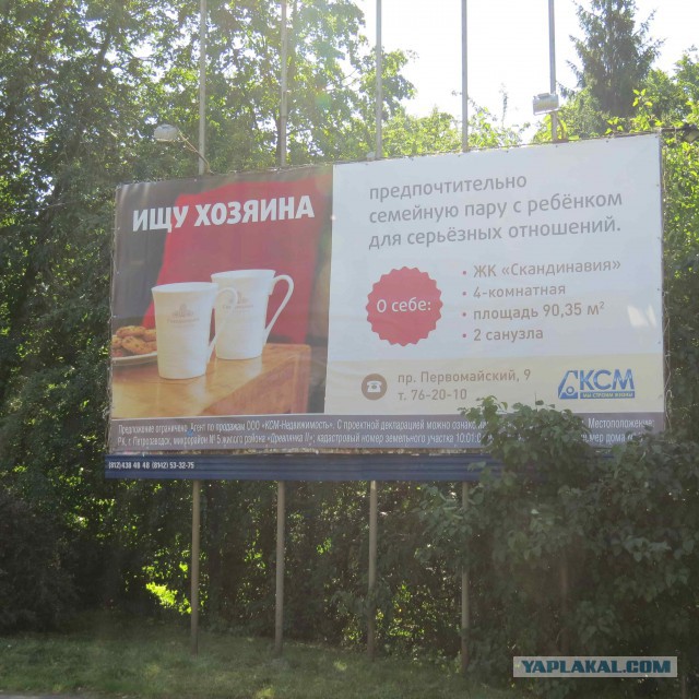 Картинки, фото и др..