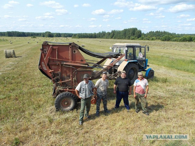 Я узнал, что у меня есть огромная семья