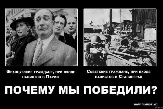 Достойный ответ террору