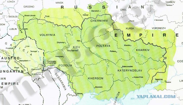 Украина, Донбасс, Крым. Я узнал правду