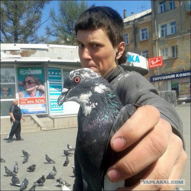 Соцсети - и смех и грех
