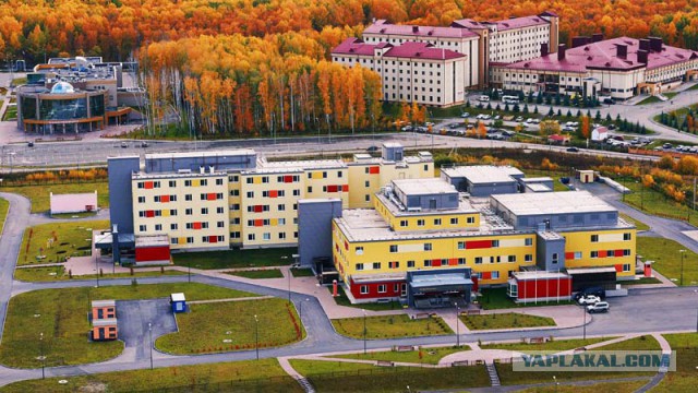 Ад российских больниц