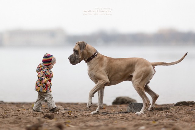 Мы с лучшим другом: фотографии детей и их больших собак