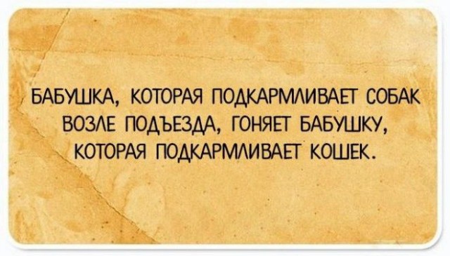 Подслушано сегодня