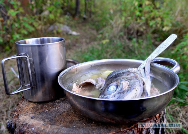 Морское меню Колымского рыбака
