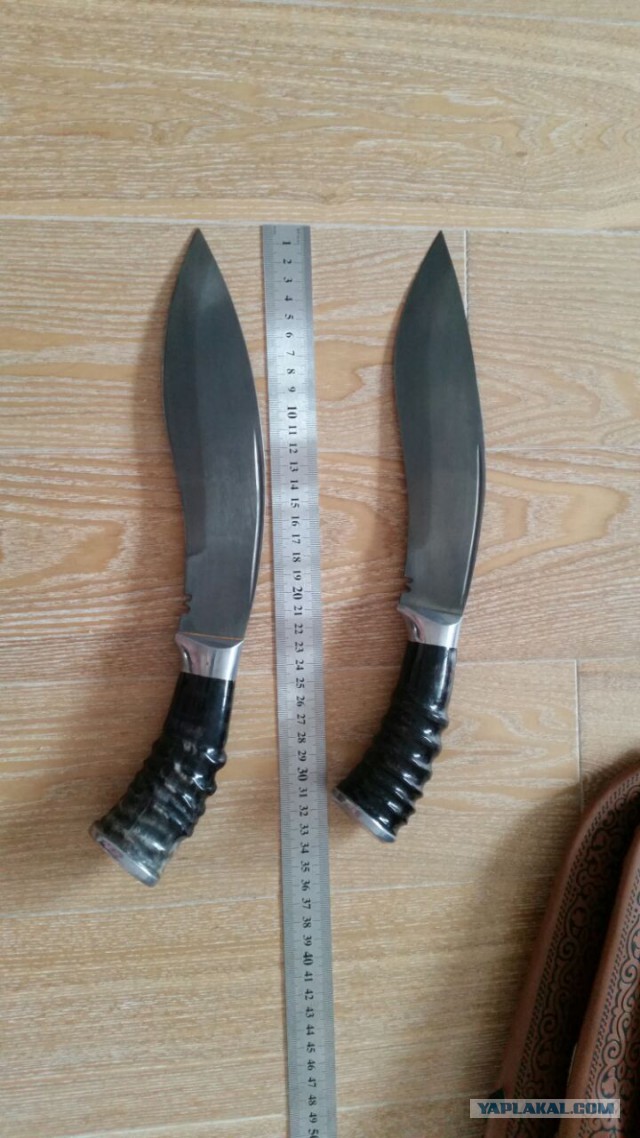 Продам Пчаки