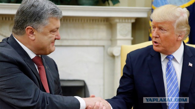 С кем ужинал Путин на G20?