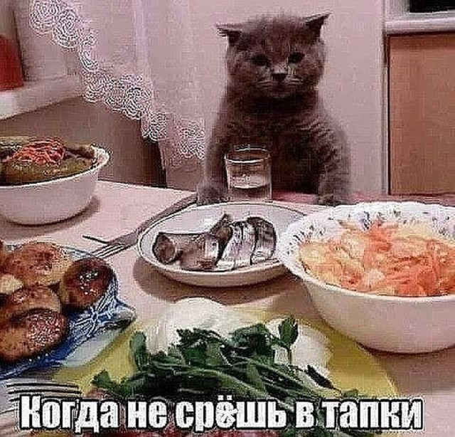 Алкогольный юмор 18+