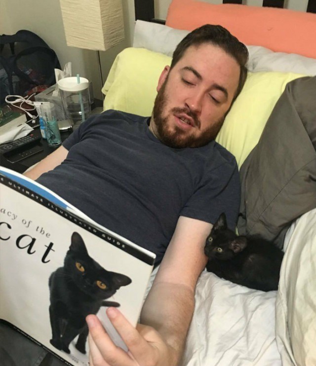 Прикольных котов пост