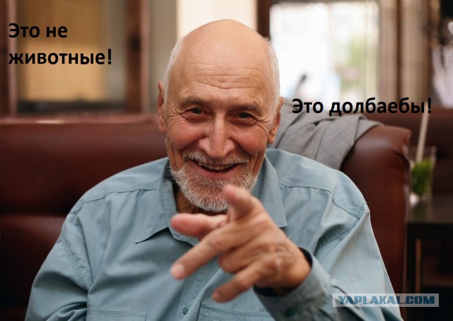 Рубрика "В мире животных" из Одинцово