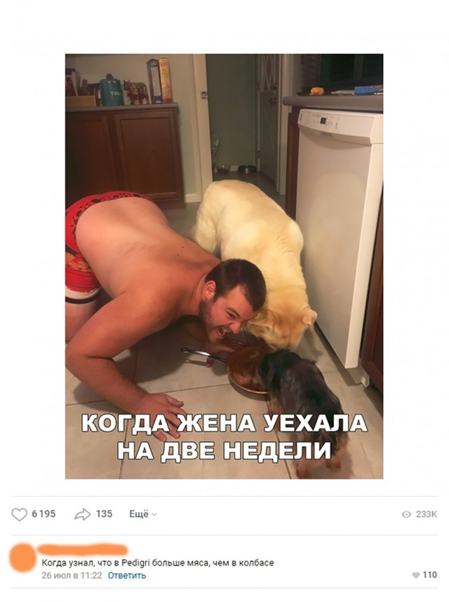 Прикольные картинки абавсём