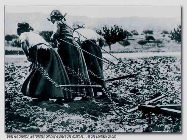 История в фотографиях