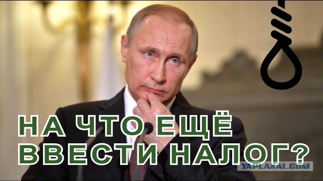 Госдума одобрила в первом чтении налог для самозанятых граждан: «Платить налоги неприятно, но надо»