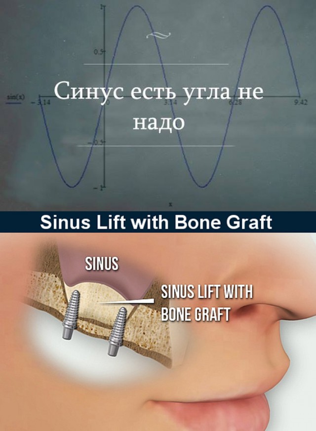 Немного юмора, умного