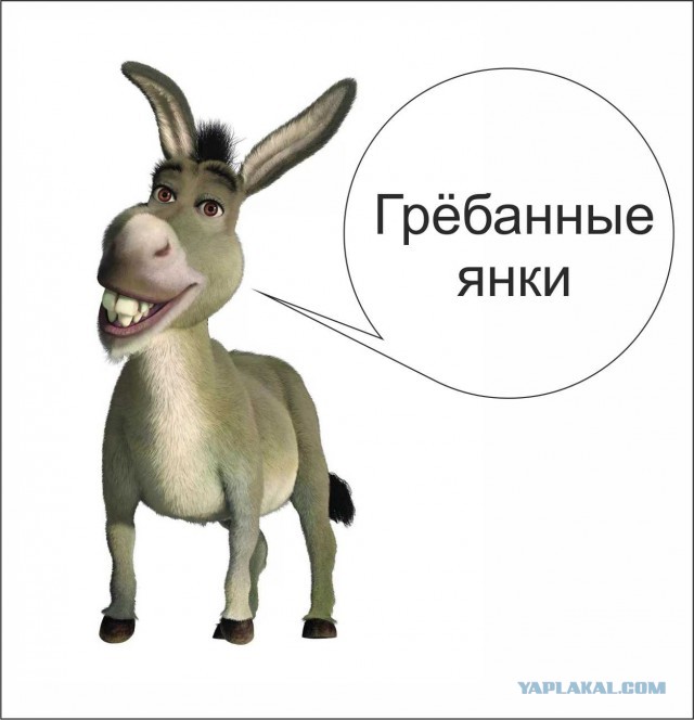 Не надо было дразнить ослика