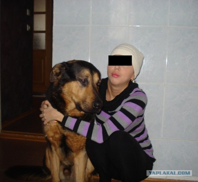 Социалка для приюта