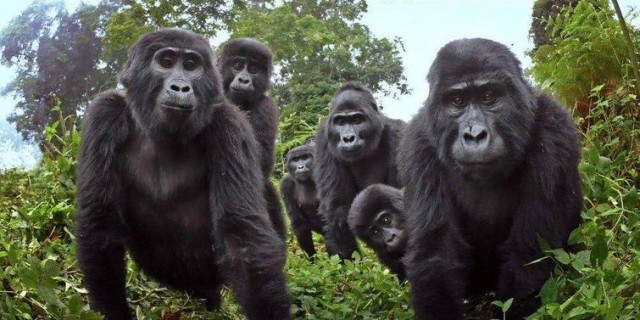35 смешных и просто забавных фотографий, чтобы сделать ваш вечер чуточку лучшее