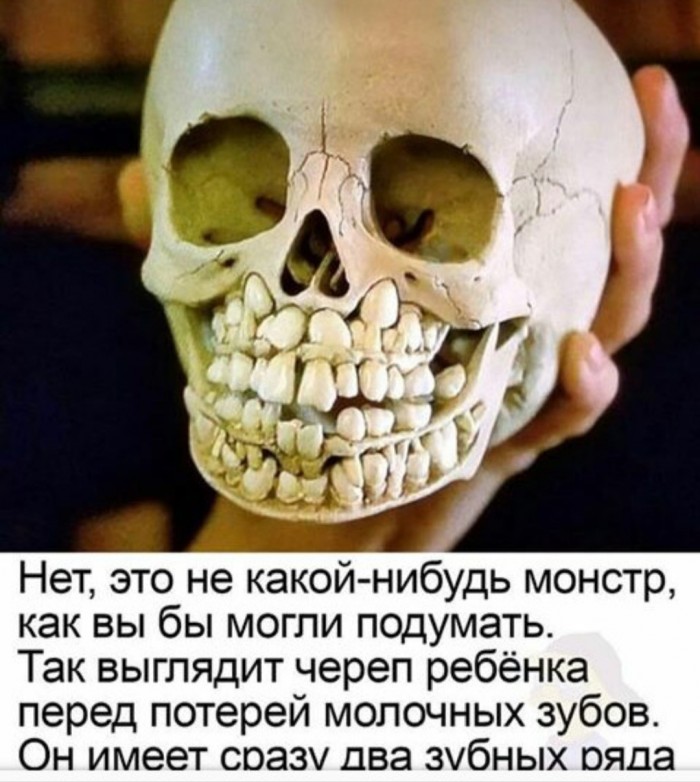 Бредзона 08.02.2020