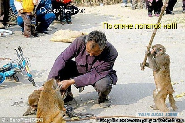 Почему я не завожу любовницу
