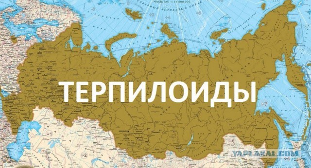 Как я вижу наше правительство, изменение конституции и всё, что происходит вокруг этого