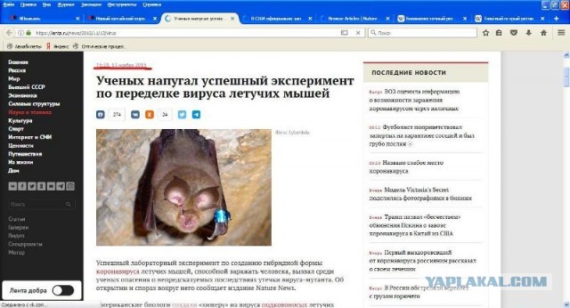 Новый китайский коронавирус создали в 2015 году