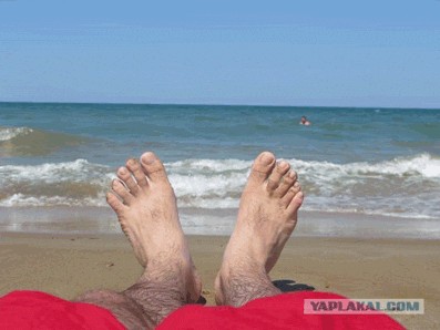 Фотожаба: Как я провел лето