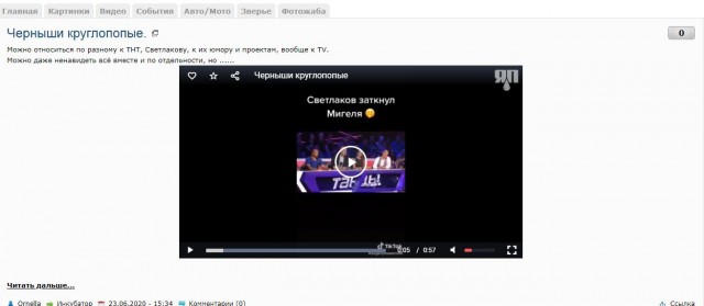 Черныши круглопопые