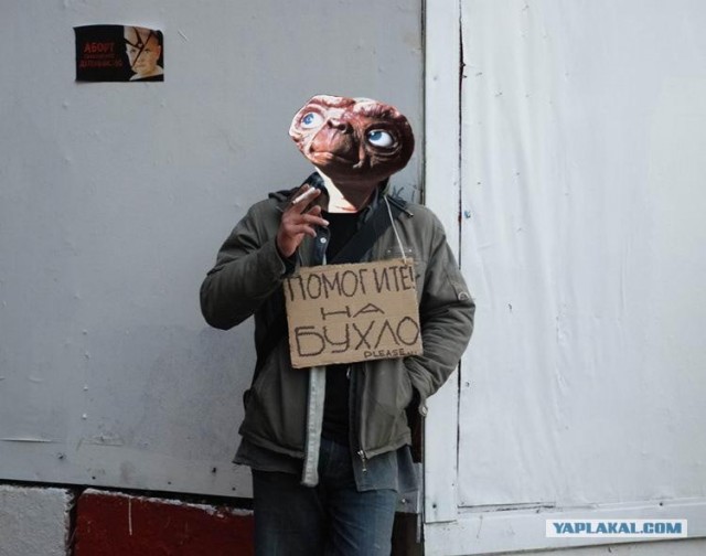 Помогите на бухло