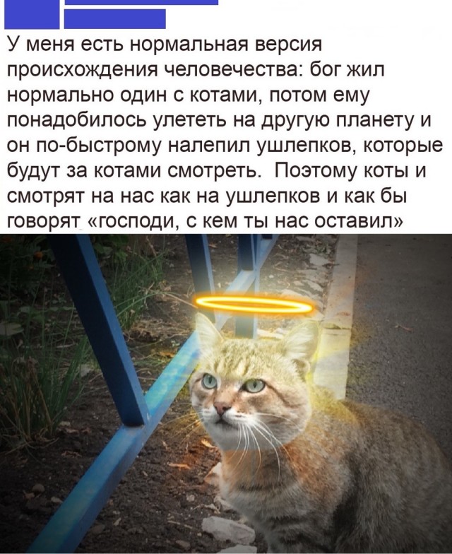 Разбавьте информационный негатив, обернитесь