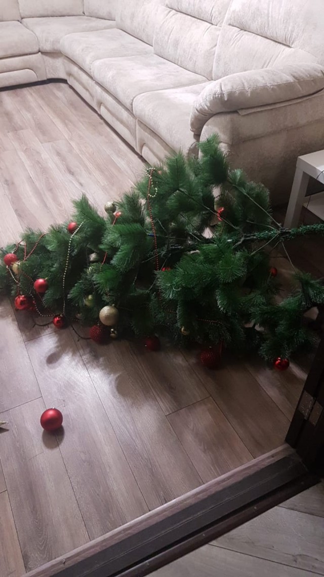 Народ, а давайте своими ёлками делиться и хвастаться? Пора бы уже )