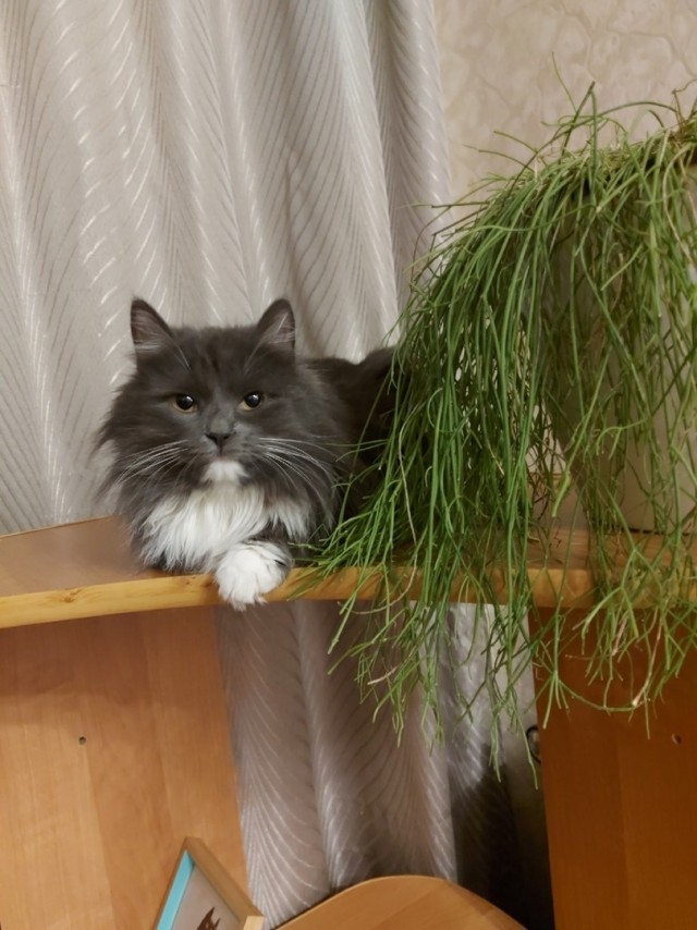Подборка забавной живности