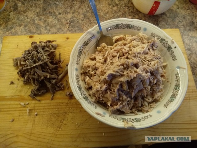 Нищебродам на заметку. Рваные курицы