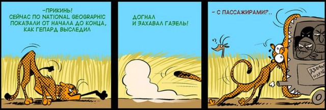 Бесстрашная россомаха