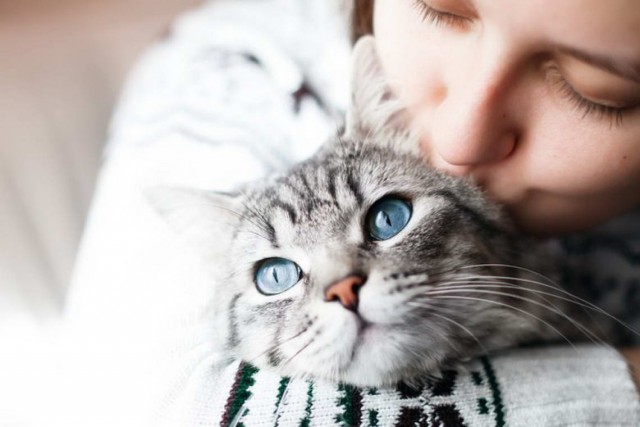 Девушки котовторника