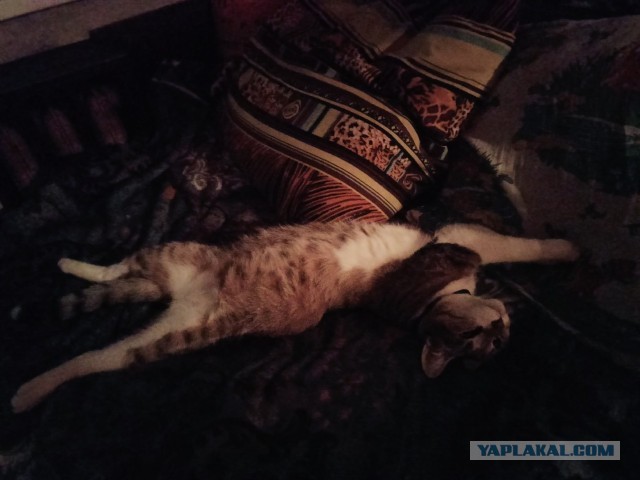 Будешь моим ребенком