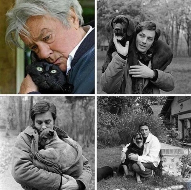 Сегодня Ален Делону исполнилось 86 лет