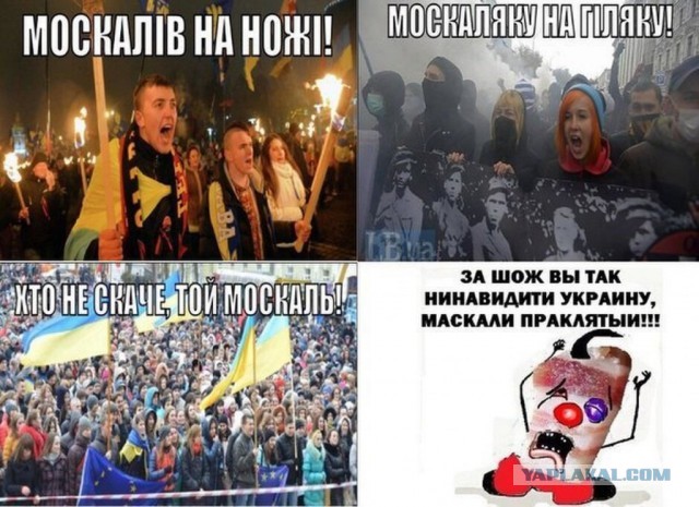 В Николаеве закончились продукты...