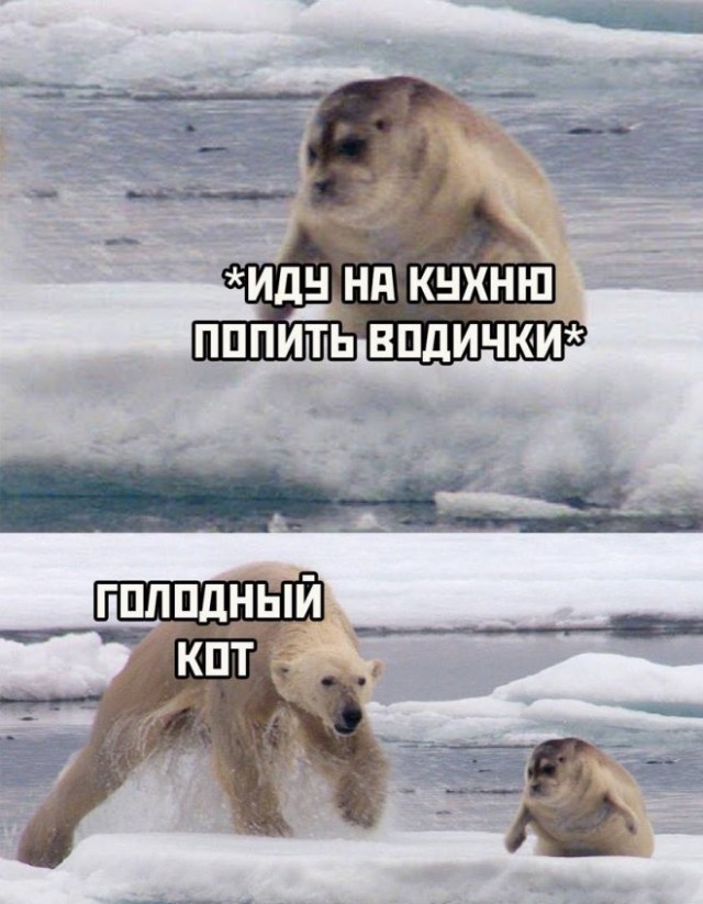 Так себе картинки 04.06.22