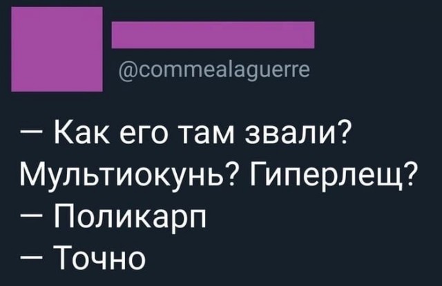 Так себе картинки 10.06.22