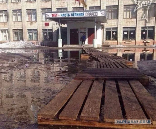 Бабушка высказалась в пользу спецоперации