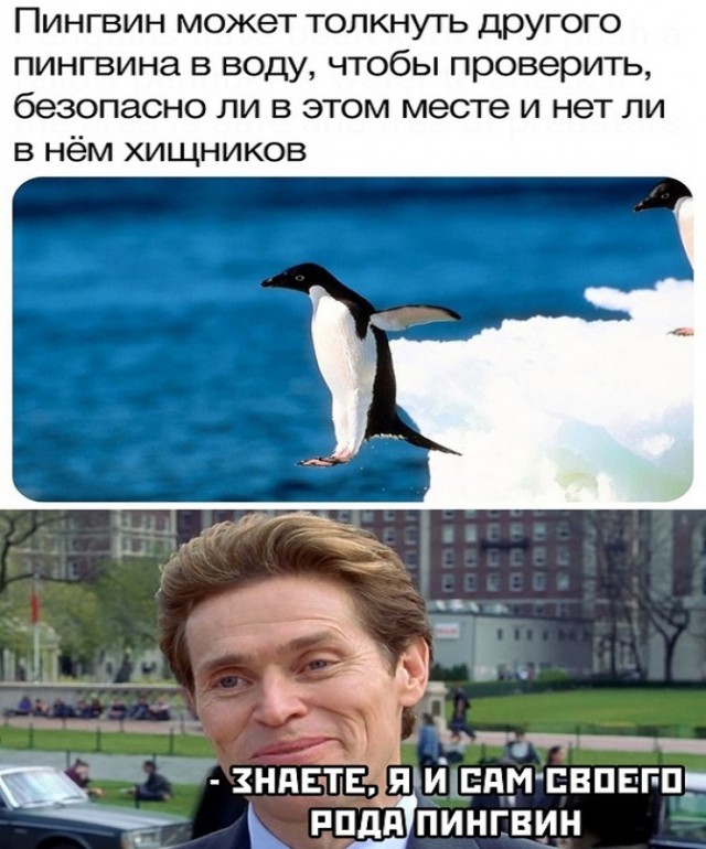 Картинки и мемы для настроения. Выходные скоро